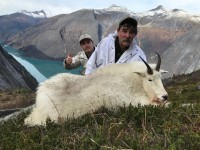 Mountain Goat - Mountain Goat 2016 - 1